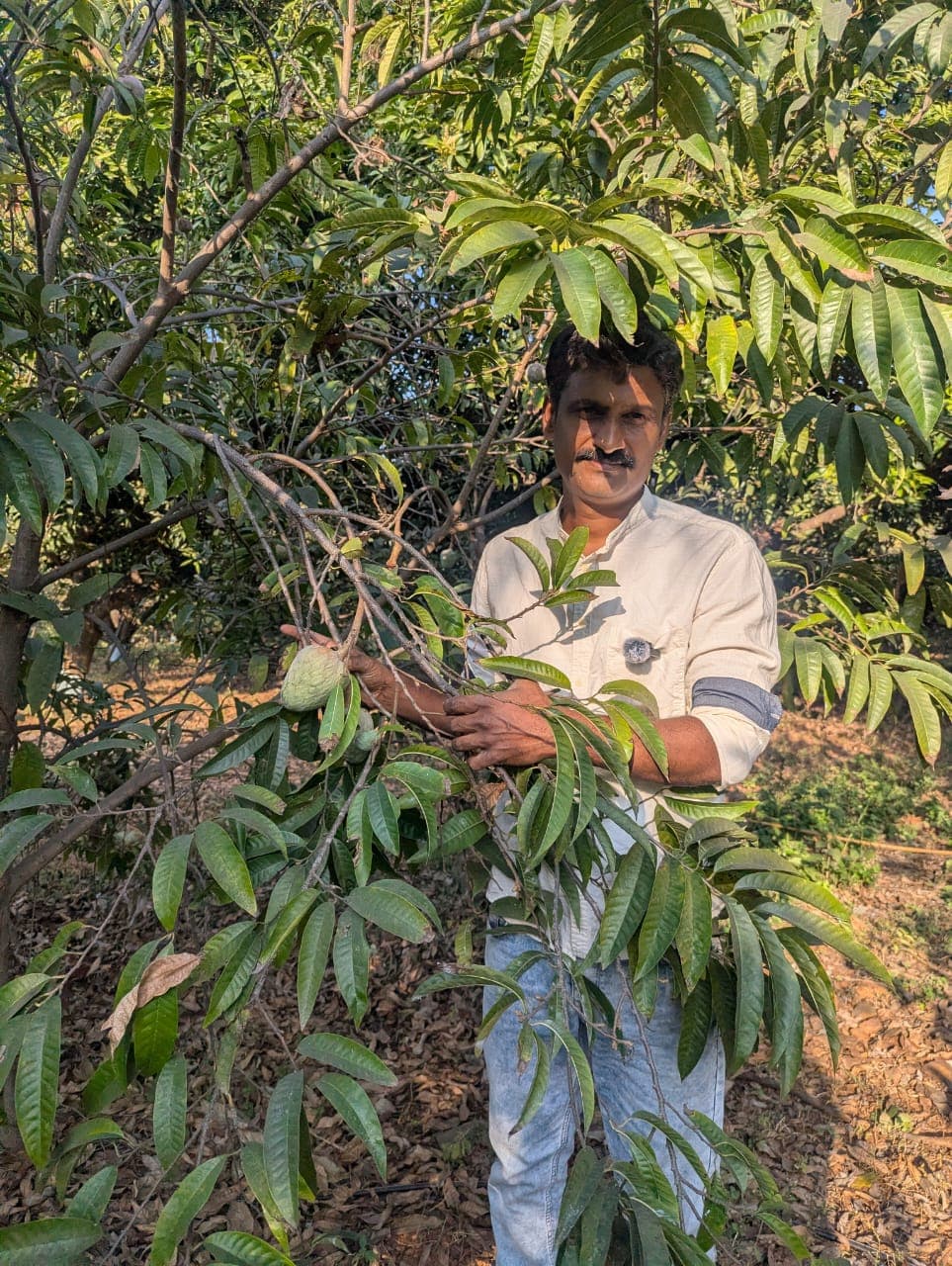 Seshu with his custard apple